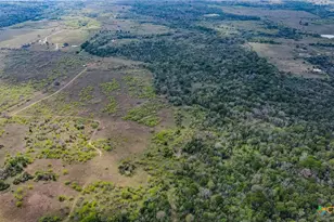 Tbd Sparta Field Rd, Waelder, TX 78959 - Photo 12