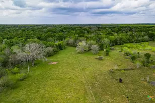 Tbd Sparta Field Rd, Waelder, TX 78959 - Photo 20