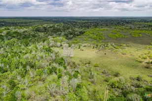 Tbd Sparta Field Rd, Waelder, TX 78959 - Photo 32