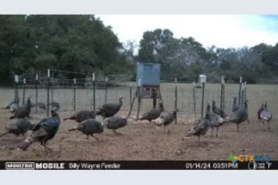 Tbd Kirk Corners, Harwood, TX 78632 - Photo 14