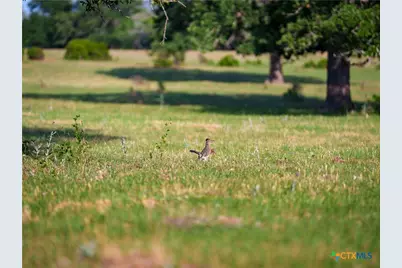 Tbd Kirk Corners, Harwood, TX 78632 - Photo 24