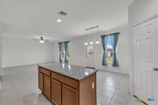 177 Texas Thistle, New Braunfels, TX 78130 - Photo 22