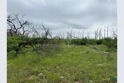 1409 County Road 147, Gatesville, TX 76528 - Photo 16