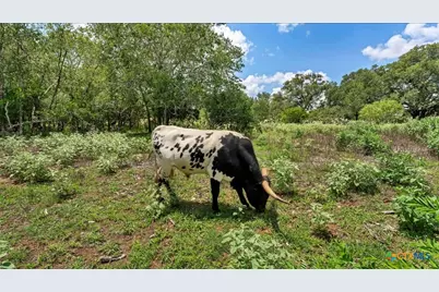 209 Fm 1344, Floresville, TX 78114 - Photo 34