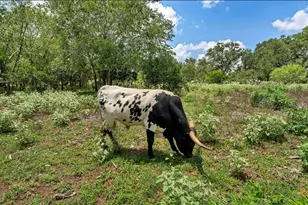 209 FM 1344, Floresville, TX 78114 - Photo 34