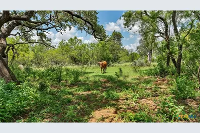209 Fm 1344, Floresville, TX 78114 - Photo 28