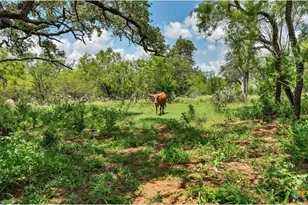 209 FM 1344, Floresville, TX 78114 - Photo 28