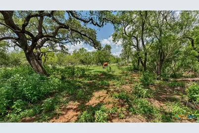 209 Fm 1344, Floresville, TX 78114 - Photo 26
