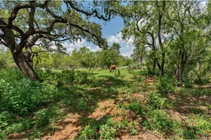 209 FM 1344, Floresville, TX 78114 - Photo 26