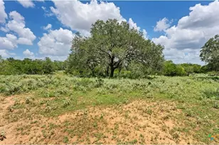209 FM 1344, Floresville, TX 78114 - Photo 22