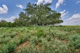 209 FM 1344, Floresville, TX 78114 - Photo 40