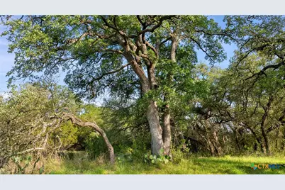 Lot 7 Morning Dew Drive, Round Mountain, TX 78663 - Photo 18