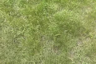 Tract 2 Roberts Rd, Holland, TX 76534 - Photo 1