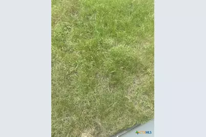 Tract 3 Roberts Road, Holland, TX 76534 - Photo 10