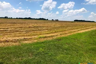 Tbd County Road 421, Thrall, TX 76578 - Photo 1