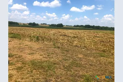 Tbd County Road 421, Thrall, TX 76578 - Photo 18