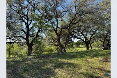 Tbd 42 Acres Fm 1117, Seguin, TX 78155 - Photo 28
