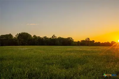 Tbd 42 Acres Fm 1117, Seguin, TX 78155 - Photo 22