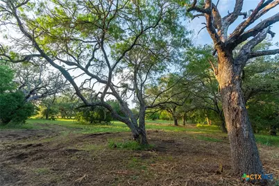 Tbd 42 Acres Fm 1117, Seguin, TX 78155 - Photo 16