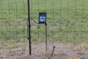 7805 Barbarossa Rd, New Braunfels, TX 78130 - Photo 6