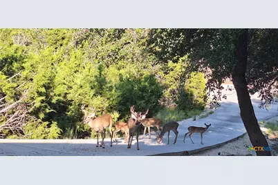 2038 Owl, Canyon Lake, TX 78133 - Photo 30