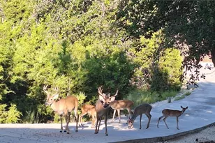 2038 Owl, Canyon Lake, TX 78133 - Photo 30