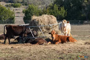 13944 Fm 32, Fischer, TX 78623 - Photo 38