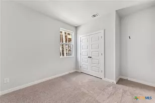 118 Cutleaf Cove, San Marcos, TX 78666 - Photo 22