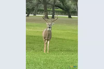 313 Treasure Oaks Road, Inez, TX 77968 - Photo 40