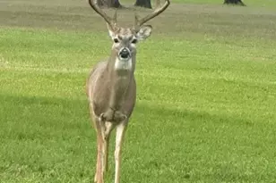 313 Treasure Oaks Rd, Inez, TX 77968 - Photo 40