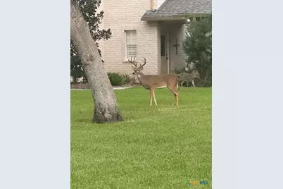 313 Treasure Oaks Road, Inez, TX 77968 - Photo 38
