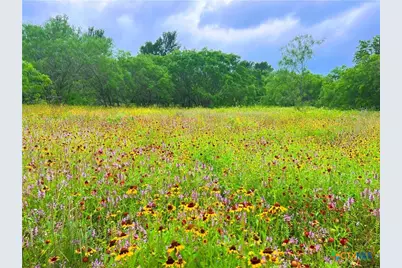3575 Baker Road, Kingsbury, TX 78638 - Photo 18