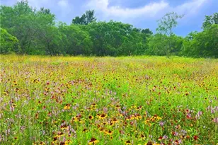 3575 Baker Rd, Kingsbury, TX 78638 - Photo 18
