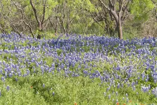 4849 Fm 1030, San Saba, TX 76877 - Photo 10