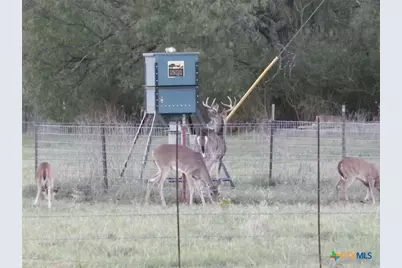 4849 Fm 1030, San Saba, TX 76877 - Photo 8