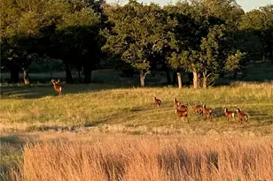 2265 Co Rd 106, Purmela, TX 76566 - Photo 6