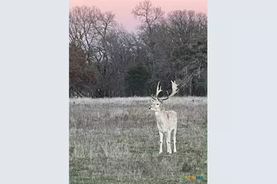 2265 County Road 106, Purmela, TX 76566 - Photo 34