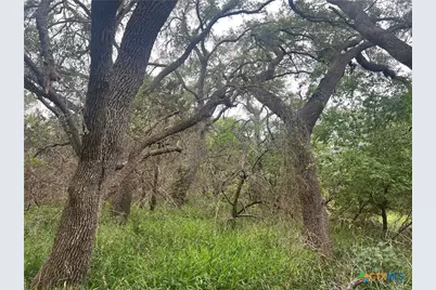 Tbd Narrows Road, Blanco, TX 78606 - Photo 8