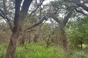 Tbd Narrows Rd, Blanco, TX 78606 - Photo 8