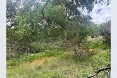 Tbd Narrows Road, Blanco, TX 78606 - Photo 6