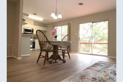 103 W Outer Drive, Canyon Lake, TX 78133 - Photo 4