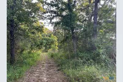 650 County Road 82, Gatesville, TX 76528 - Photo 46