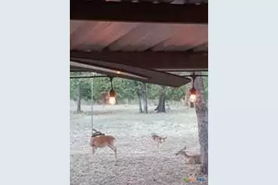 650 County Road 82, Gatesville, TX 76528 - Photo 28