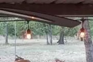 650 Co Rd 82, Gatesville, TX 76528 - Photo 28