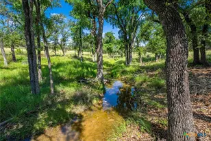 0000 Gibson-Best Rd, Hye, TX 78635 - Photo 36