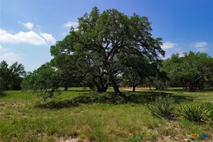 1037 Ranch Rd 962 W, Round Mountain, TX 78663 - Photo 30