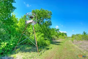 0000 County Road 463, Elgin, TX 78621 - Photo 30