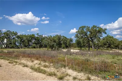 1772 Demi John Bend Road, Canyon Lake, TX 78133 - Photo 4