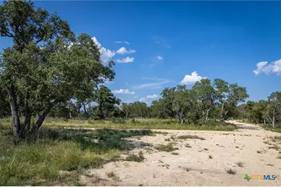 1772 Demi John Bend Road, Canyon Lake, TX 78133 - Photo 6