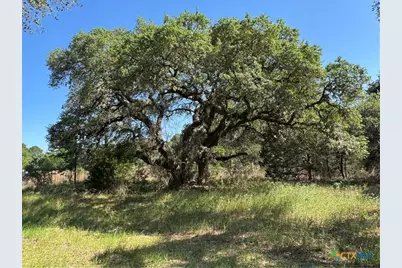 2183 Fm 3283, Hallettsville, TX 77964 - Photo 4